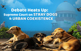 Debate Heats Up: Supreme Court on Stray Dogs & Urban Coexistence